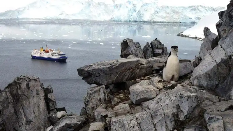 Cruceros Antartida