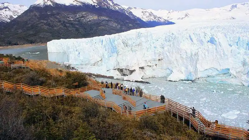 Calafate