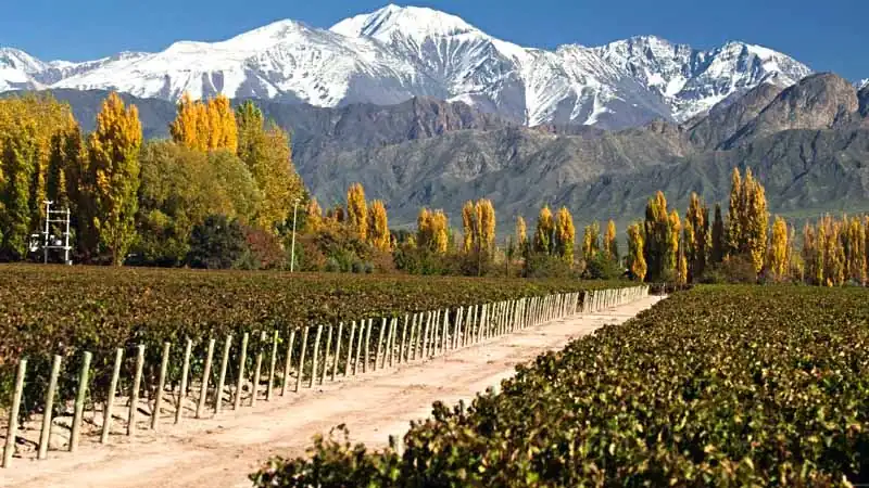 Mendoza