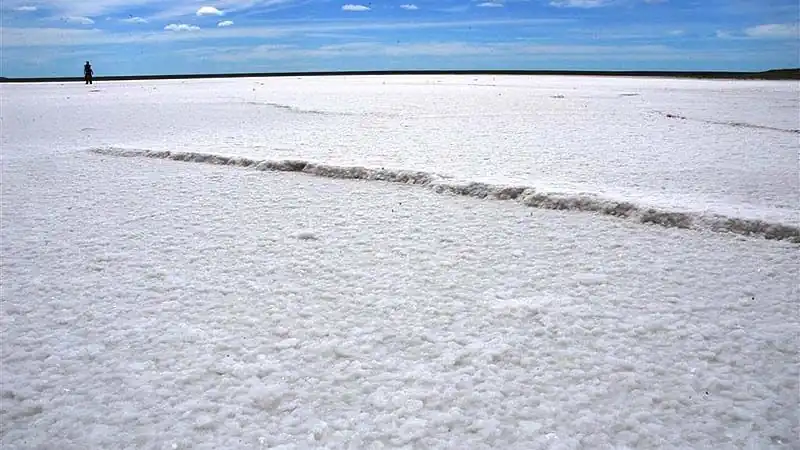 Safari a las Nubes Movitrack