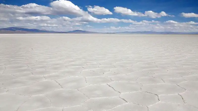 Safari a las Nubes Movitrack