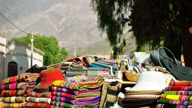 Safari a las Nubes Movitrack