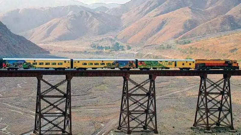 Mini Safari Movitrack