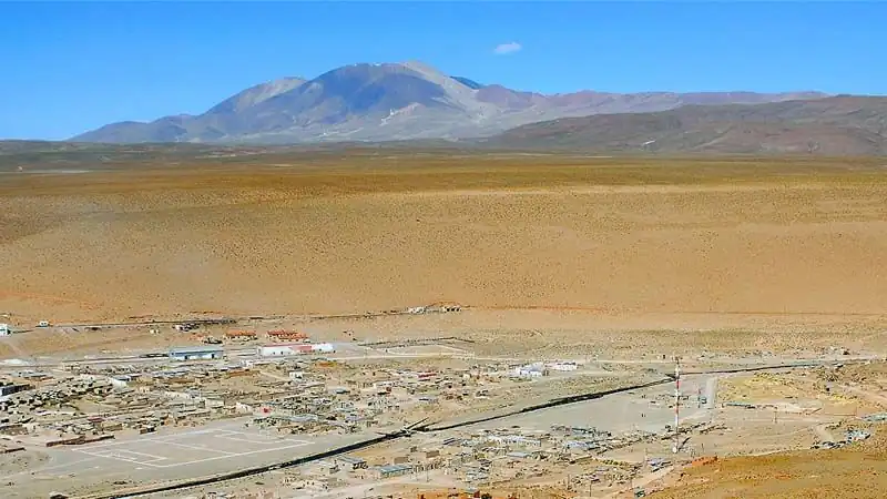 Mini Safari Movitrack