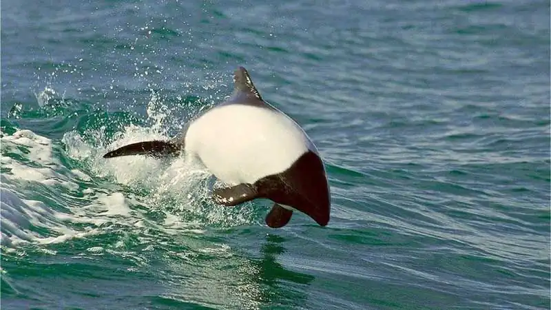 Valle Inferior, Gaiman y Museo Paleontológico de Trelew 