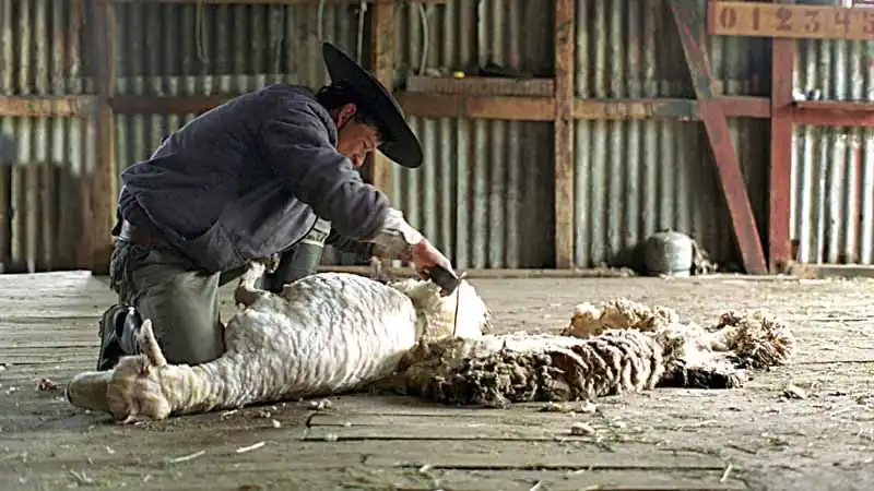 Día de Campo en Estancia Nibepo Aike