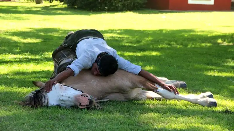 Día de Campo en La Bamba de Areco