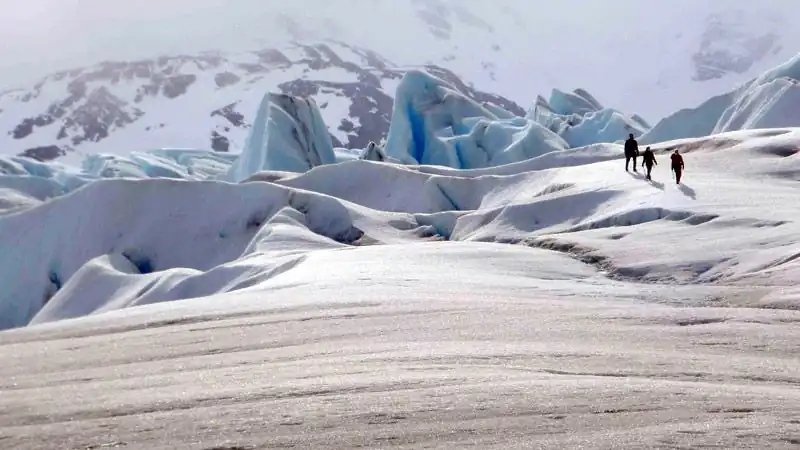Caminata en Hielo Glaciar Grey