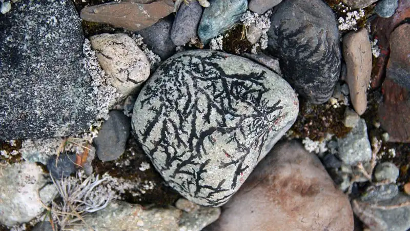 Aventura a los Glaciares Escondidos 