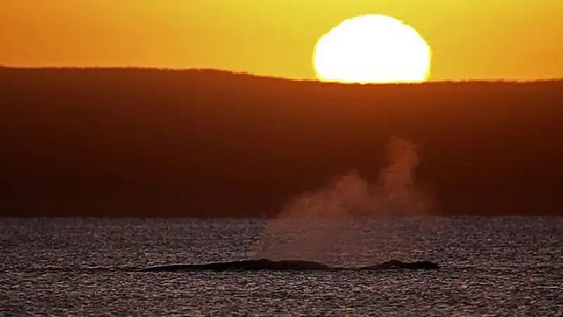 Navegación Sunset Fotográfico 