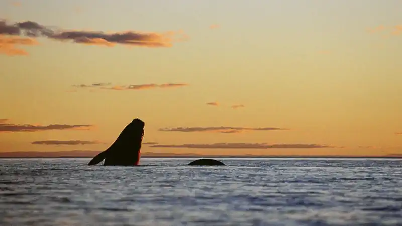 Navegación Sunset Fotográfico 