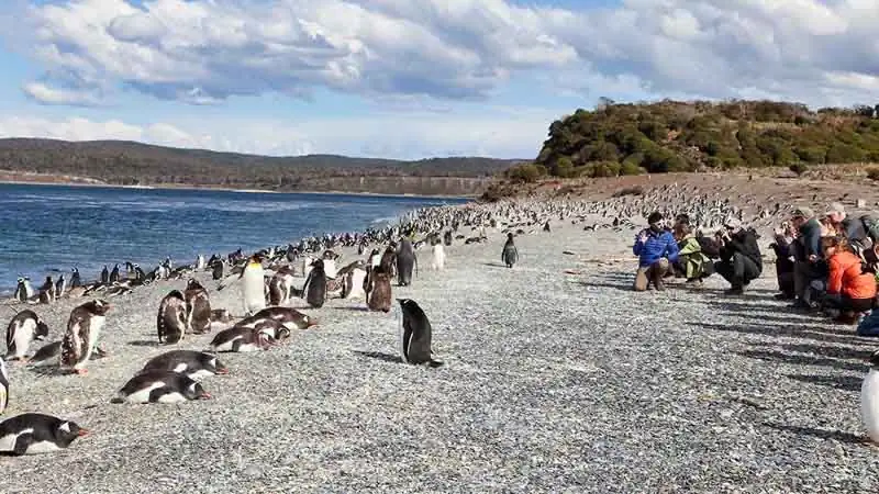 Caminata con Pingüinos 