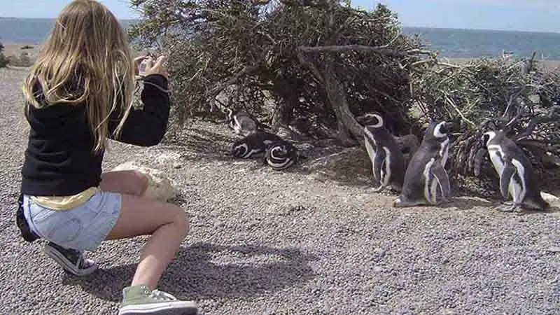 Caminata con Pingüinos 