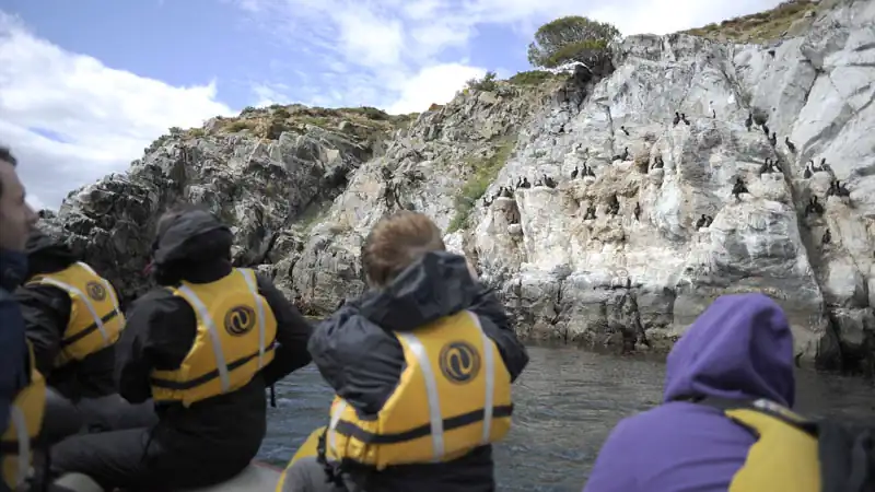 Isla Gable y Pingüinera con canoas