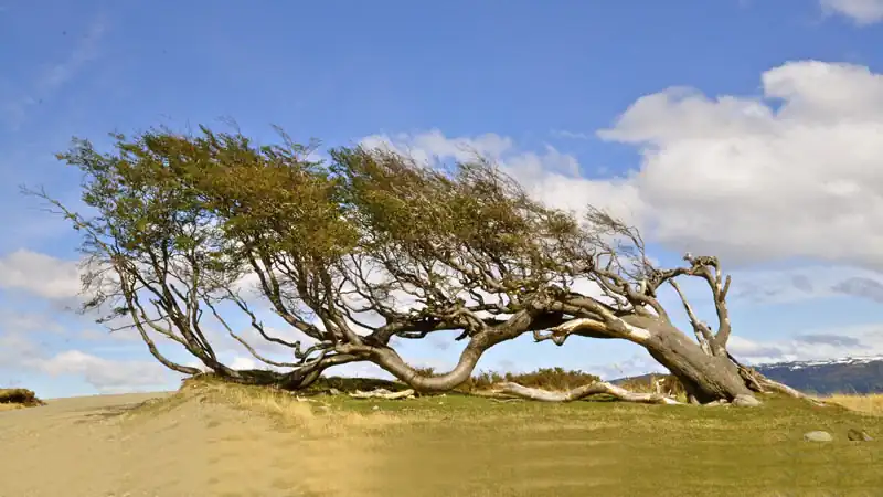 Isla Gable y Pingüinera con canoas