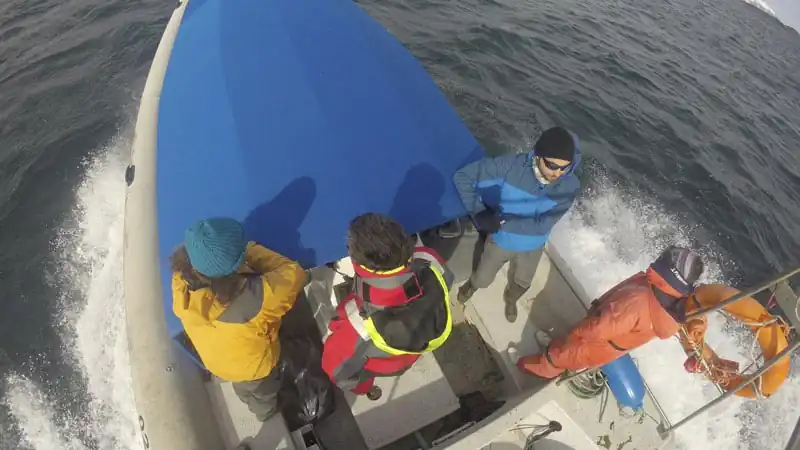 Isla Gable y Pingüinera con Estancia Harberton