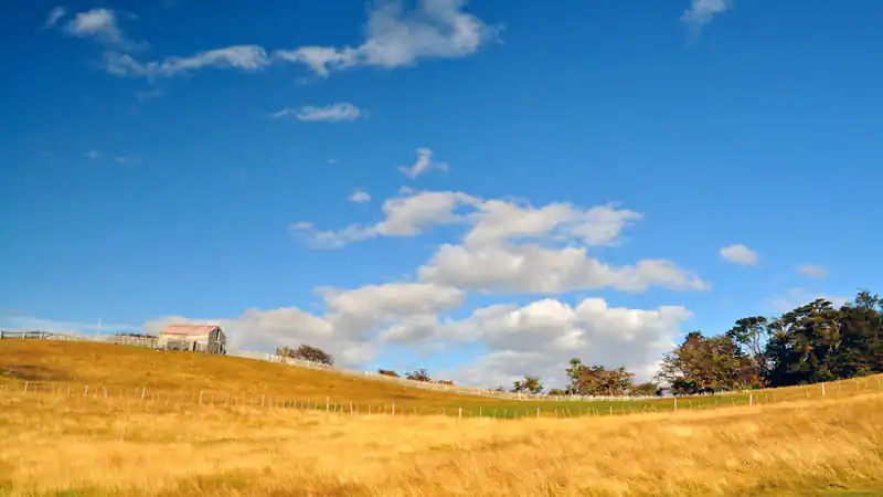 Isla Gable y Pingüinera con Estancia Harberton