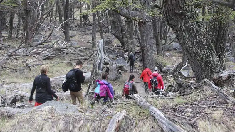 Full Day Chaltén desde Calafate Trek Libre