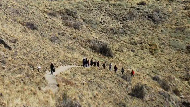 Full Day Chaltén desde Calafate con Lago del Desierto 