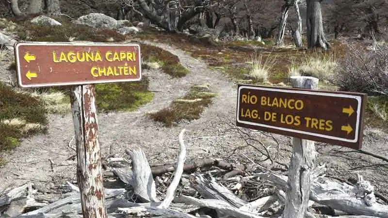 Full Day Chaltén desde Calafate Trek Pro