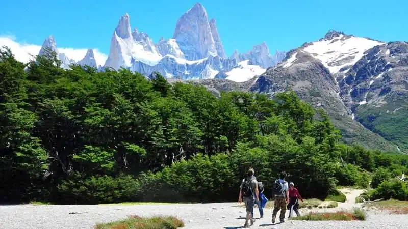 Full Day Torres del Paine en Overland