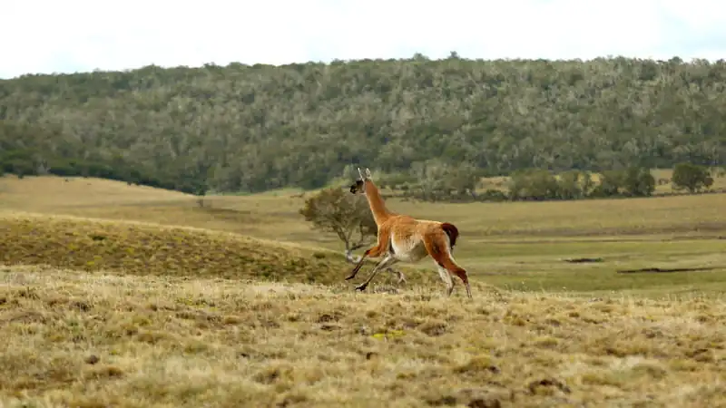 Cabo San Pablo y Estancia Rolito