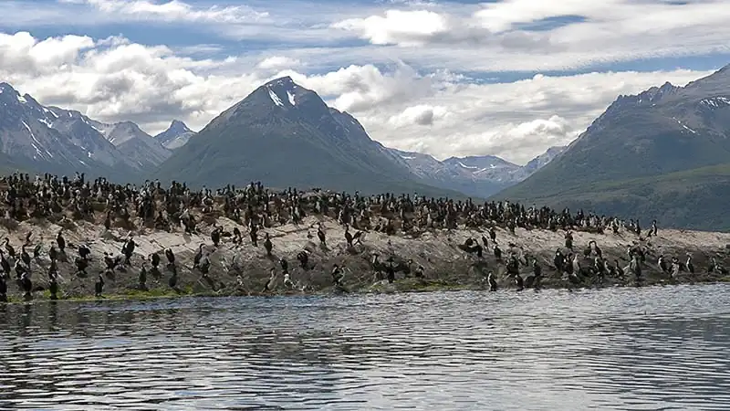 Navegación Canal Beagle en Yate