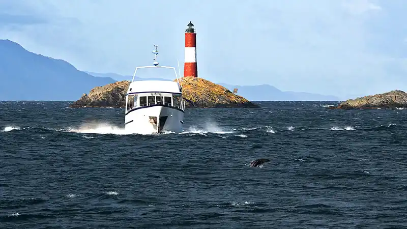 Navegación Canal Beagle en Yate