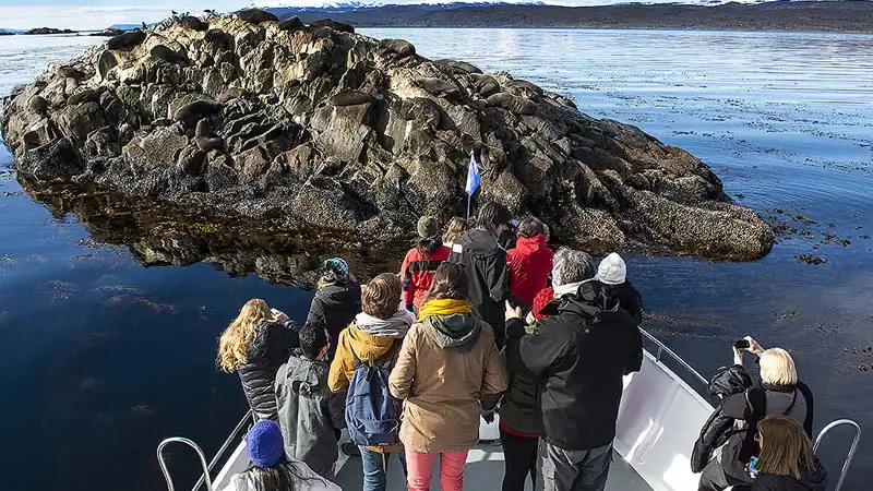 Navegación Canal Beagle en Yate