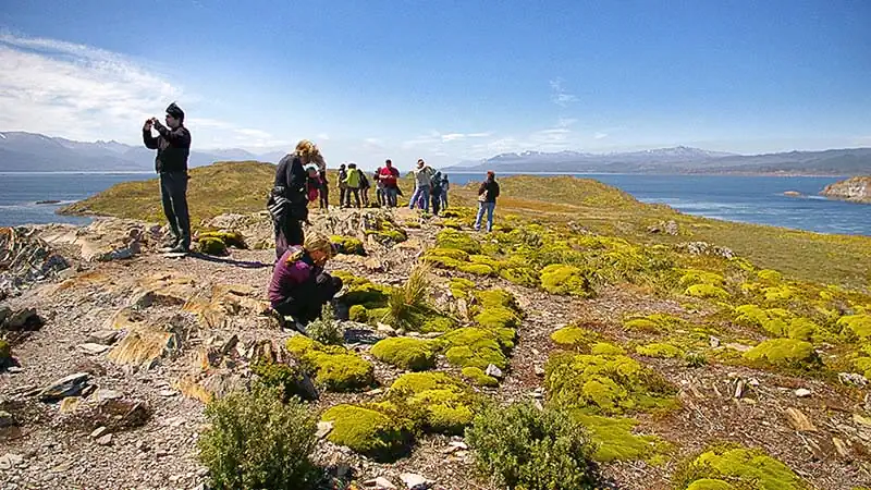 Navegación Canal Beagle en Yate