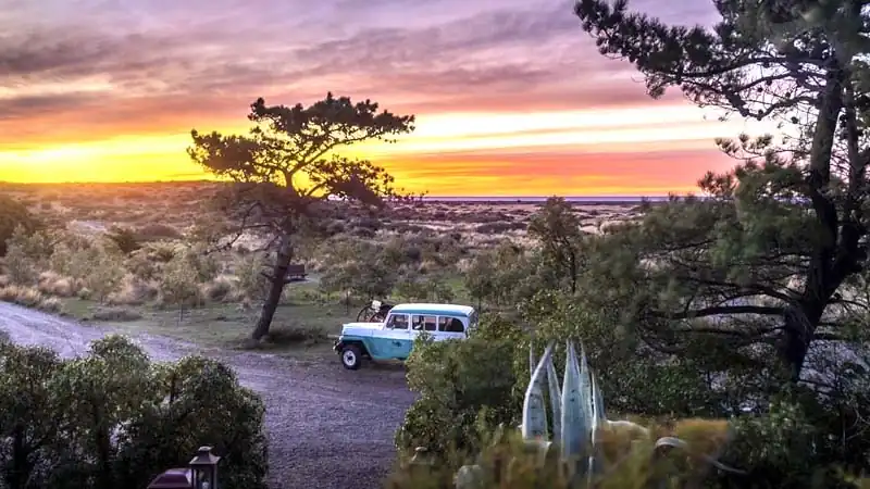 Pingüinera en Estancia El Pedral