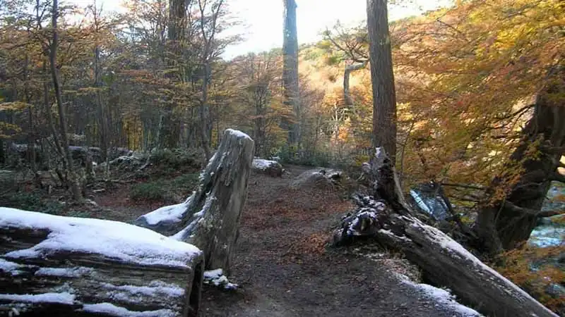 Parque Nacional Tierra del Fuego