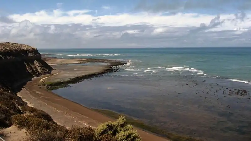Vuelta a la Península Valdés