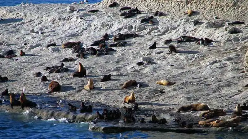Vuelta a la Península Valdés