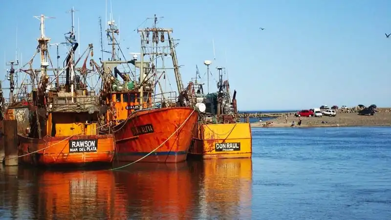 Punta Tombo y Playa Unión