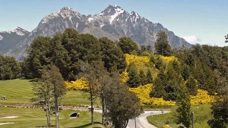 Cruce Andino en 1 día desde Puerto Varas