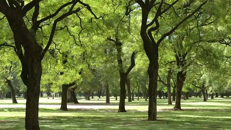 Buenos Aires City Tour