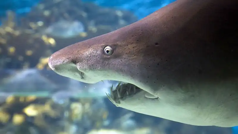 Bioparque Temaiken - Tierra de Vida
