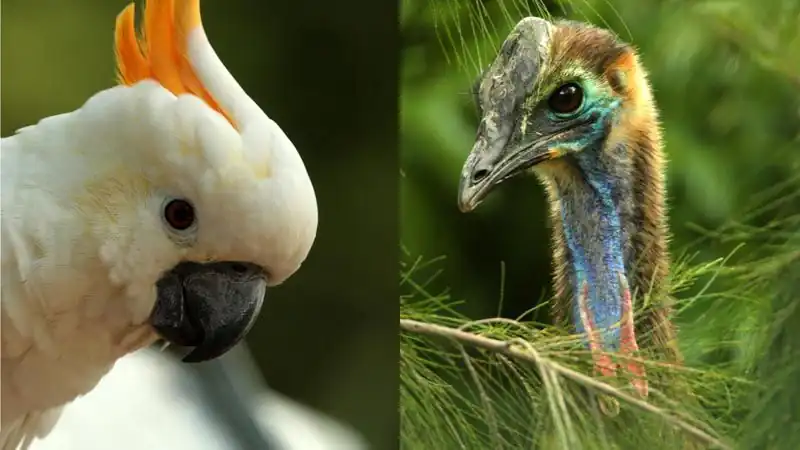 Bioparque Temaiken - Tierra de Vida