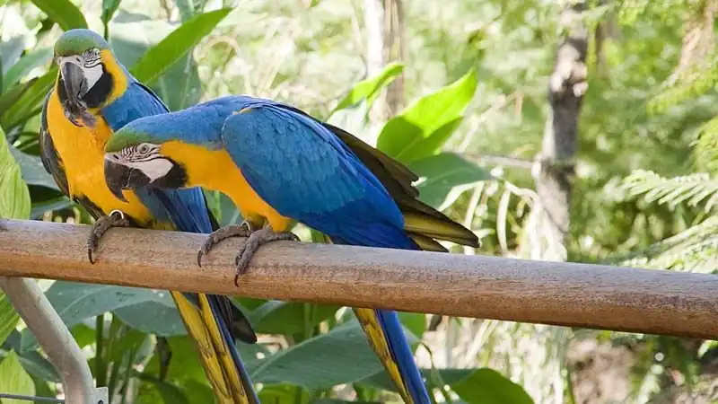 Bioparque Temaiken - Tierra de Vida