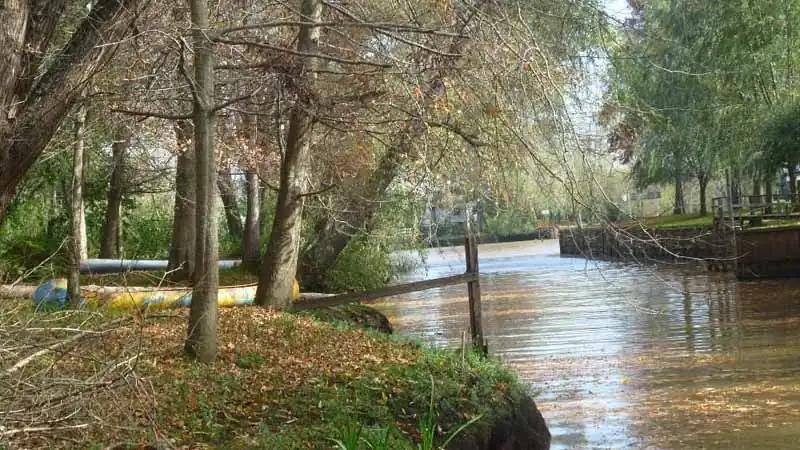 Tigre y Delta con Navegación