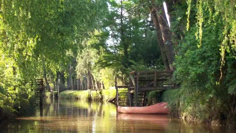 Tigre y Delta con Navegación