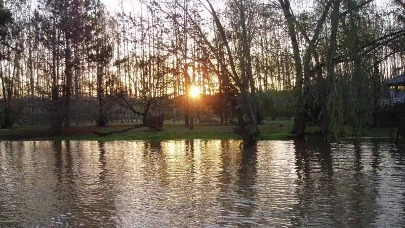 Tigre y Delta con Navegación