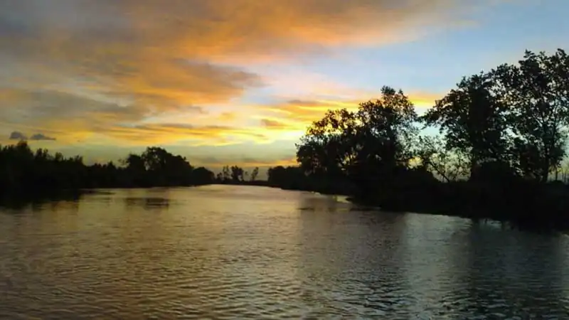 Tigre y Delta con Navegación