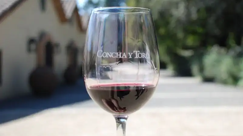 Visita a Viña Concha y Toro  