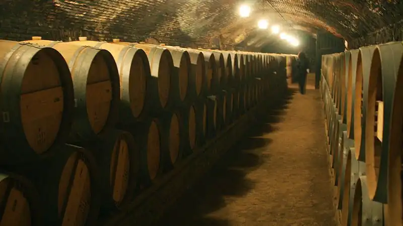 Visita a Viña Concha y Toro  