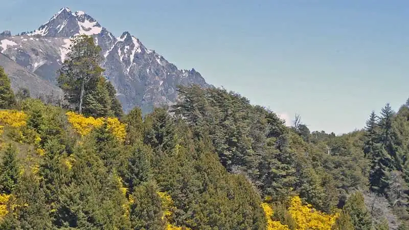 Puerto Blest y Cascada de los Cantaros