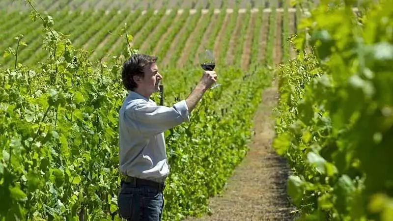 Experiencias Sensoriales Premium, Día de vinos