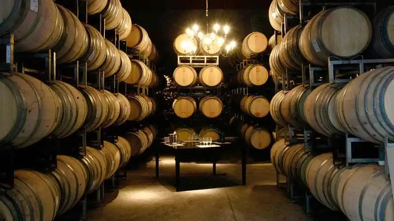 Experiencias Sensoriales Premium, Día de vinos