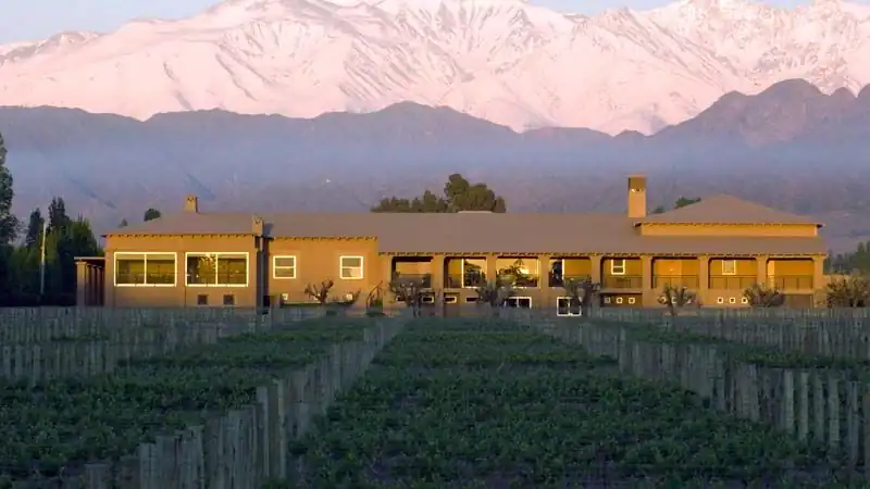 Experiencias Sensoriales Premium, Día de vinos